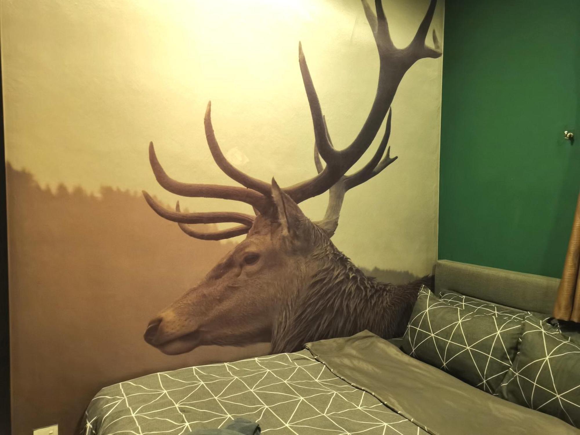 Cozy Forest Themed Homestay 4 Bedroom Kuala Lumpur Exterior photo